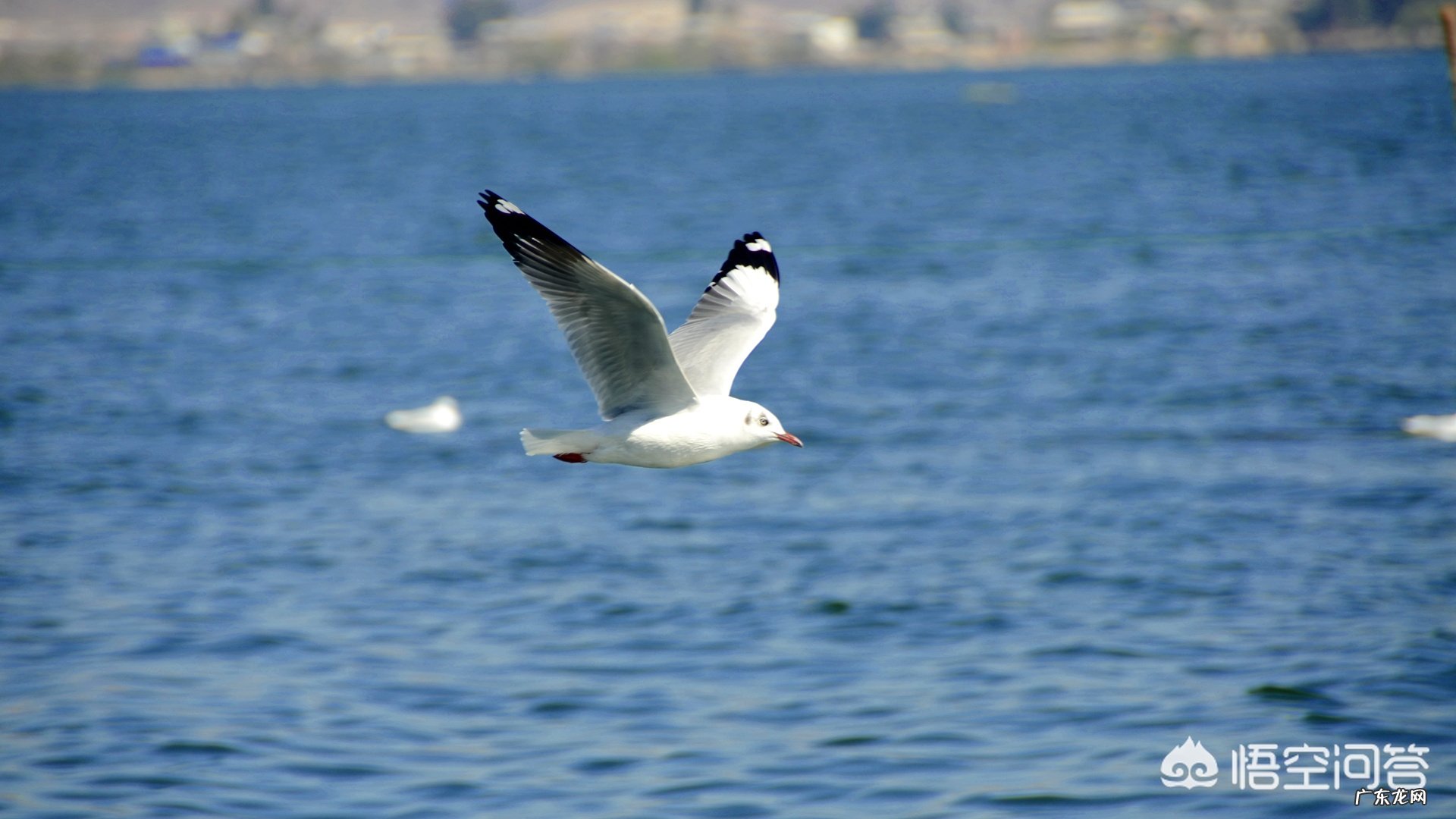 在你旅游去过的省份中,按照自然风景这个指标排个序,前五名是哪几个省份?