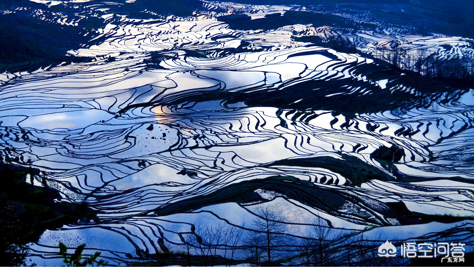 在你旅游去过的省份中,按照自然风景这个指标排个序,前五名是哪几个省份?