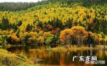 在你旅游去过的省份中,按照自然风景这个指标排个序,前五名是哪几个省份?