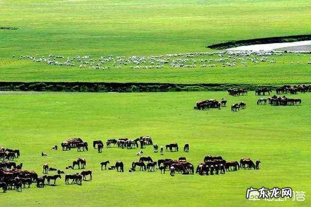 在你旅游去过的省份中,按照自然风景这个指标排个序,前五名是哪几个省份?