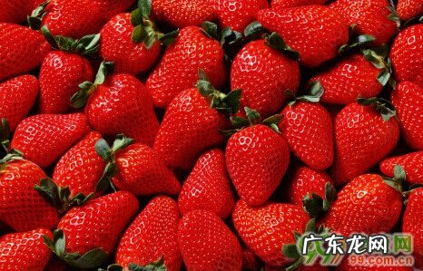 孕妇可以吃草莓吗?