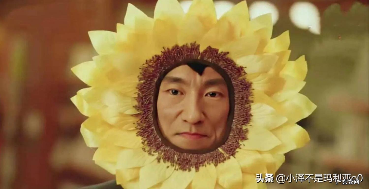 搞笑电视剧排行榜前十名2022 2019最搞笑的电视剧排行榜前十名