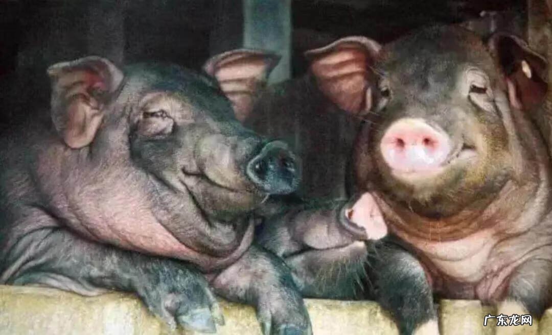 海南风水宝地图片 海南排名第一的风水宝地