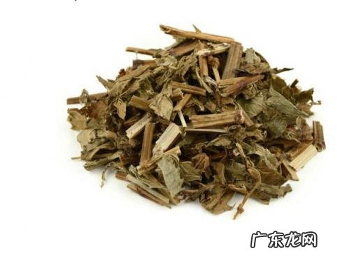 泽兰的功效与作用的功能与主治 泽兰的功效与作用的功能与主治及图片