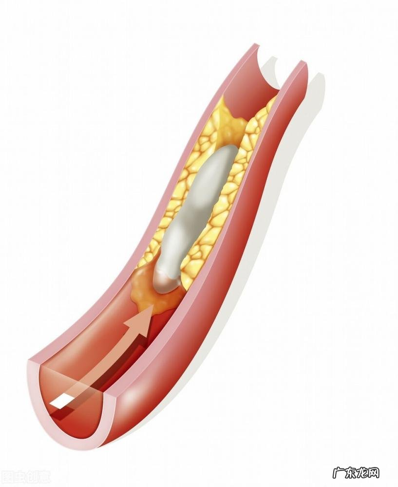 泽兰的功效与作用的功能与主治 泽兰的功效与作用的功能与主治及图片