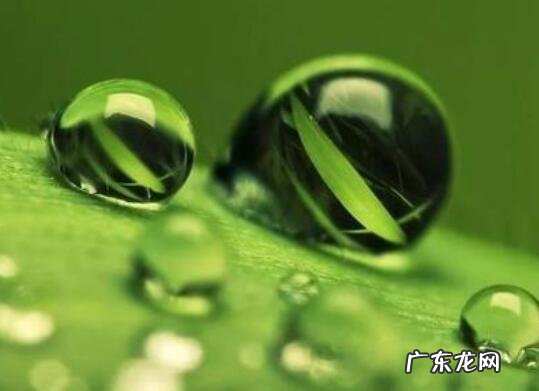 癸水女是几月出生的 癸水是什么月份出生