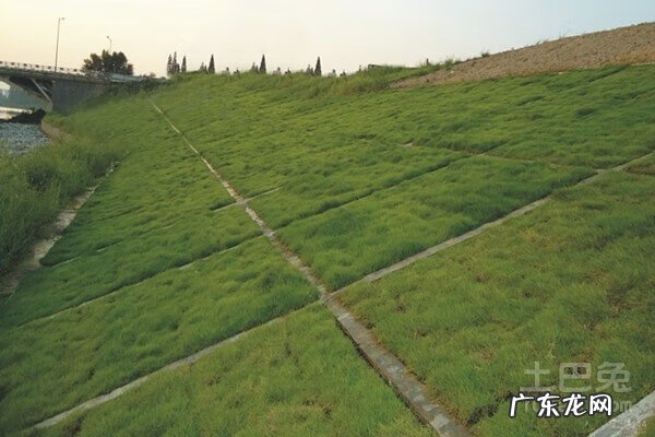 生态泥的充其量就是水泥 生态泥的施工方法