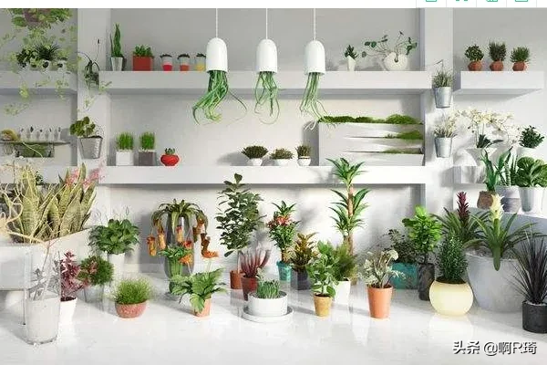 夏天防止蚊子叮咬的小技巧？