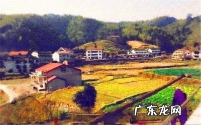 2022年在农村有哪些致富的门路现象,2022年农村搞什么挣钱好呢