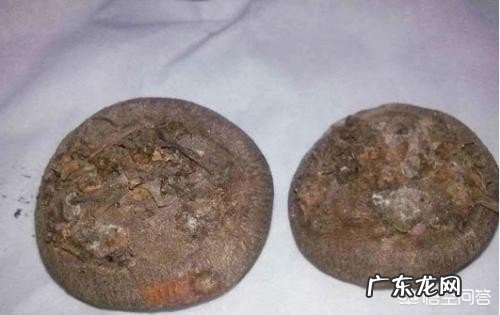 仙客来花蔫巴了怎么办?