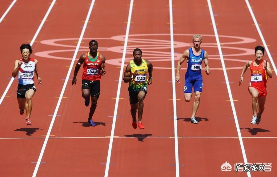 哪些运动可以一下训练到全身的肌肉?