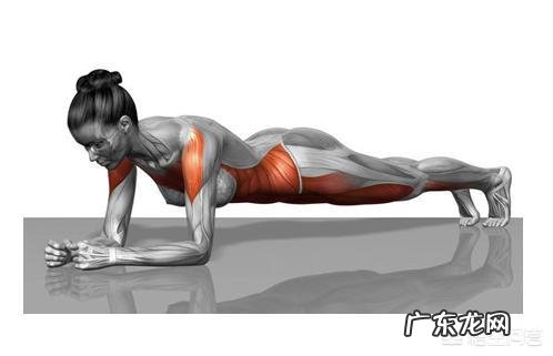 哪些运动可以一下训练到全身的肌肉?