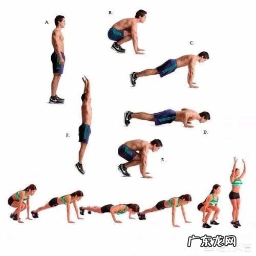 哪些运动可以一下训练到全身的肌肉?