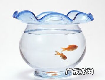 鱼缸最佳位置 鱼缸怎么摆放风水好