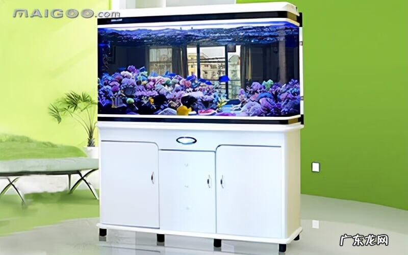 原生态鱼缸 生态鱼缸的原理及图