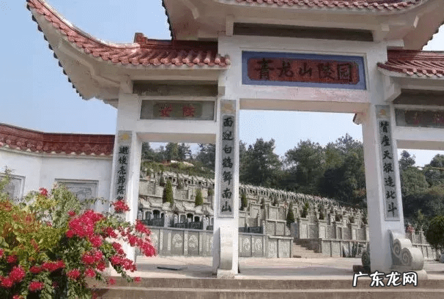 温州特色 浙江温州风水先生虞亦华