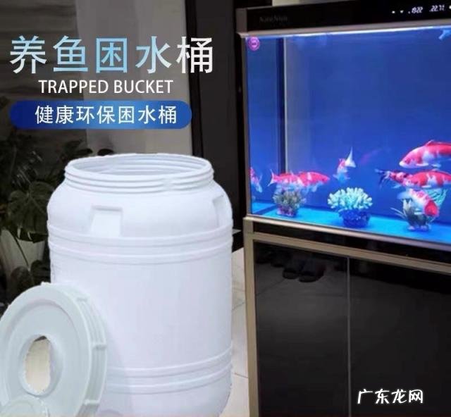 正确给鱼换水方法视频 如何给鱼缸换水以及注意事项