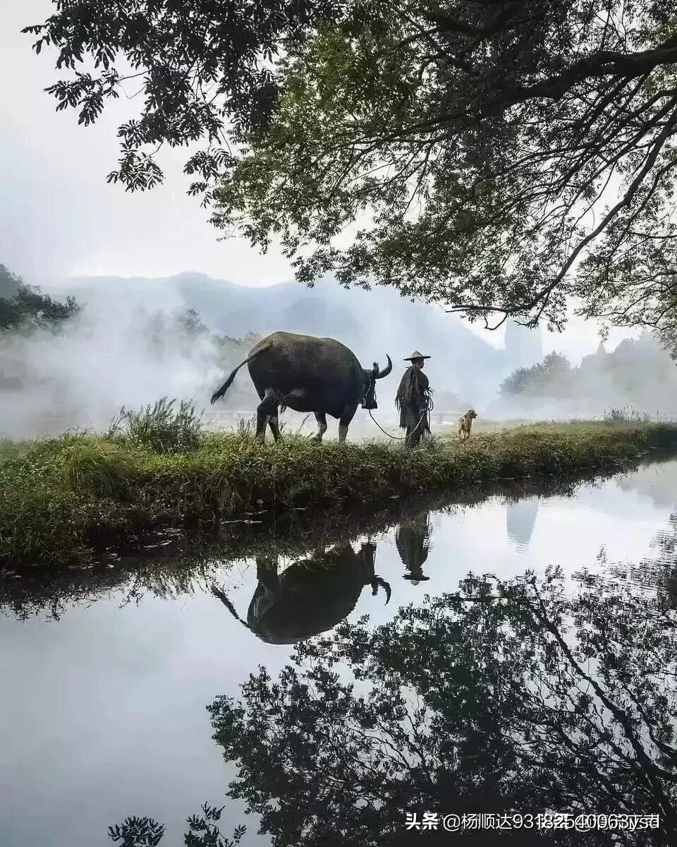 《乌衣巷》这首诗全文内容和他的意思是什么?