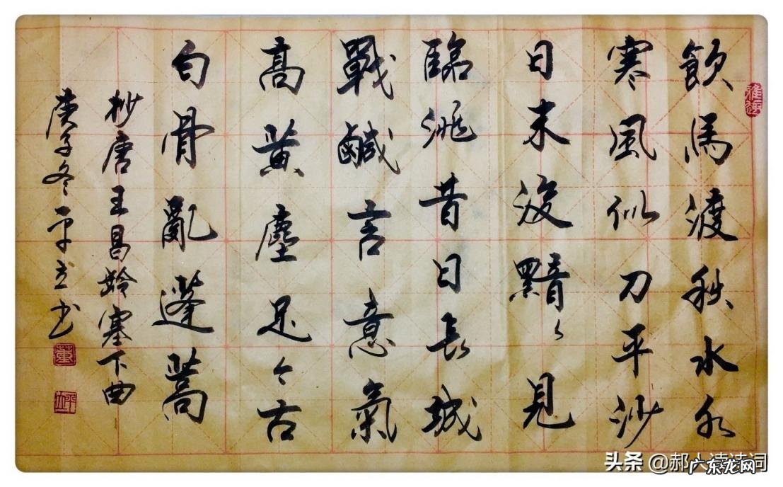 塞下曲的古诗的意思解释 古诗三首塞下曲视频