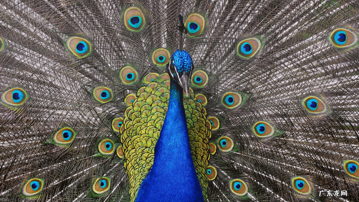 厨房颜色风水 蓝色与风水