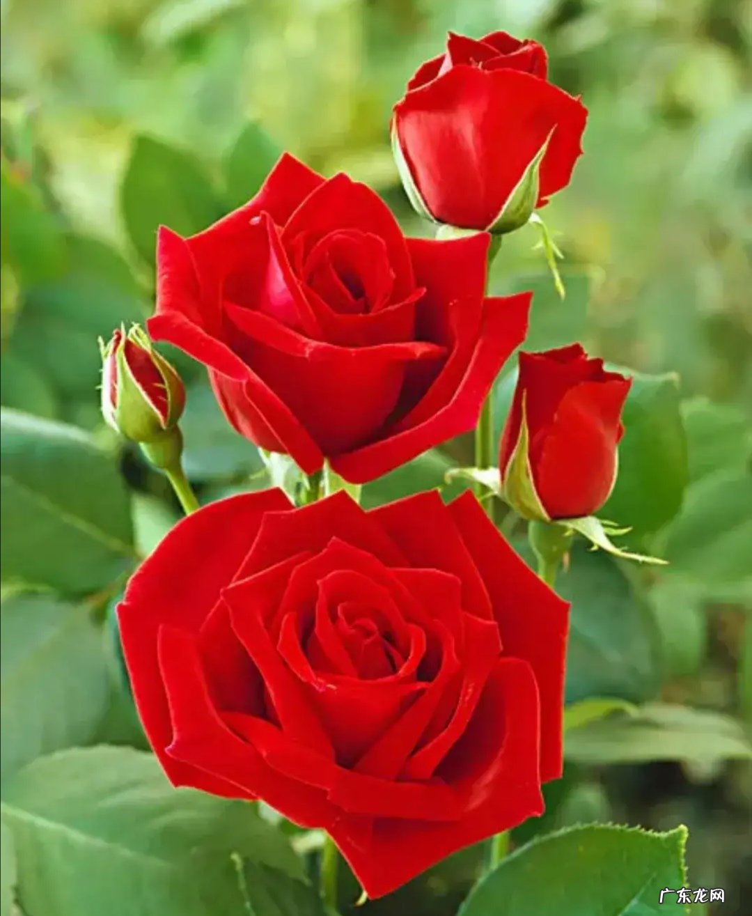 人与人的交往,应该礼尚往来吗?