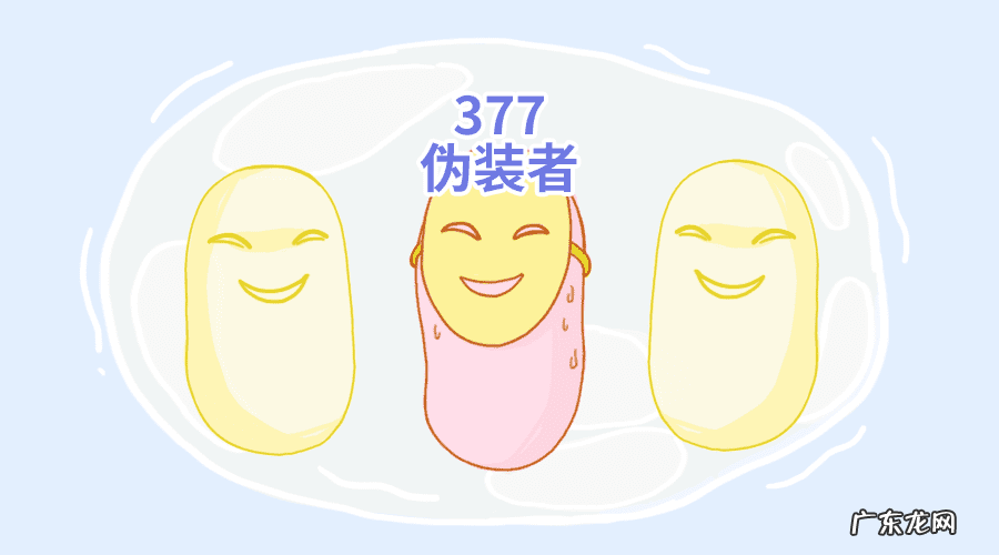 新鲜柠檬水 柠檬水