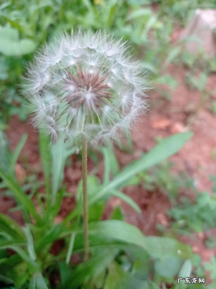 好风凭借力,送我上青云 好风凭借力还是凭借力