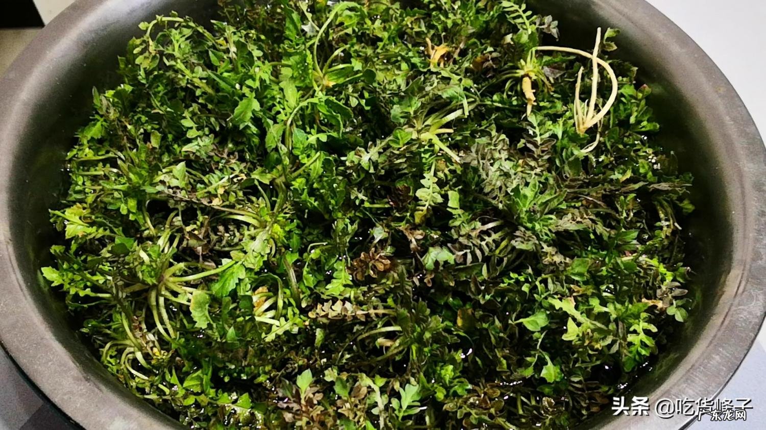 大叶香荠菜怎么做好吃窍门 香荠菜的做法