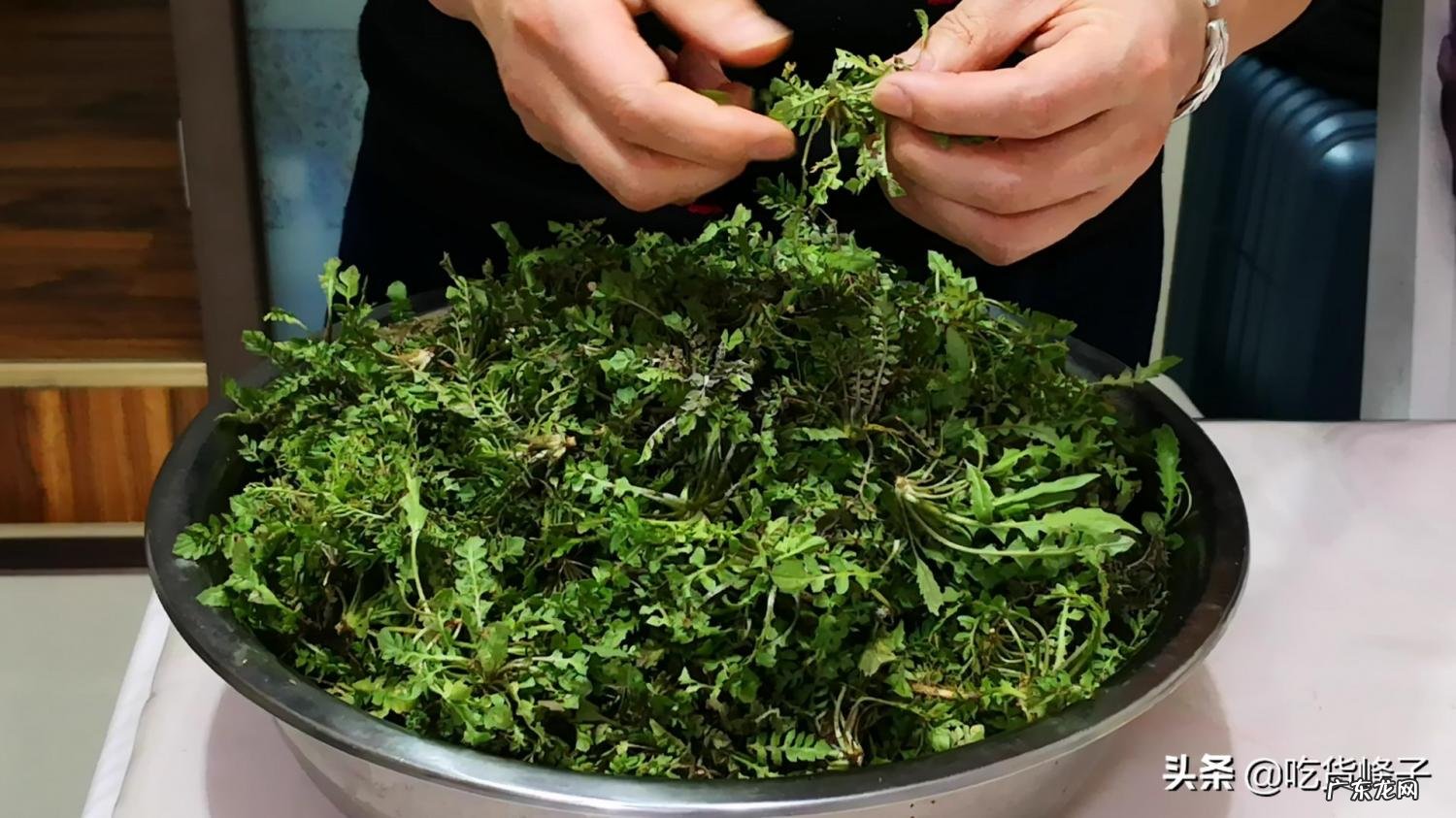 大叶香荠菜怎么做好吃窍门 香荠菜的做法