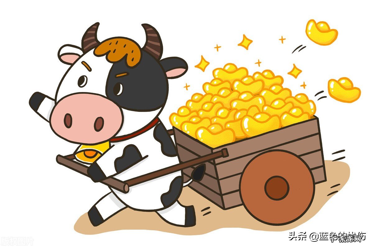 哪一个生肖又聪明又勤奋又富裕?