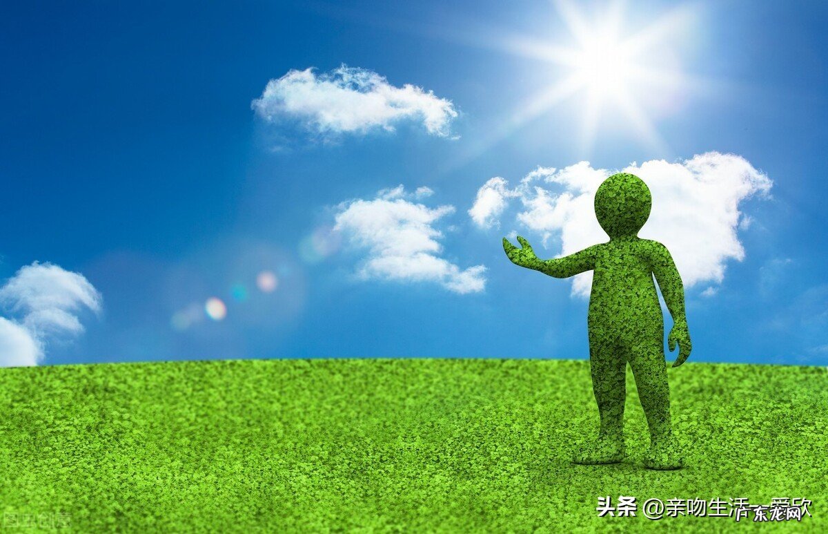 哪一个生肖又聪明又勤奋又富裕?