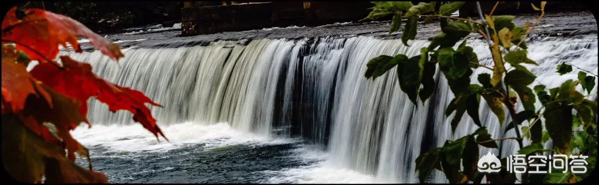 兰梅竹菊称为四君子,更是以“兰章”喻诗文之美,描写兰花的诗词有哪些?