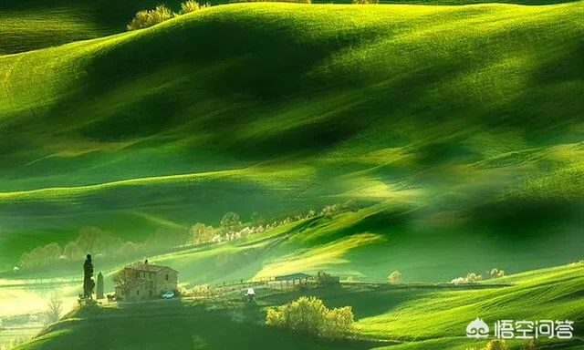 兰梅竹菊称为四君子，更是以“兰章”喻诗文之美，描写兰花的诗词有哪些？