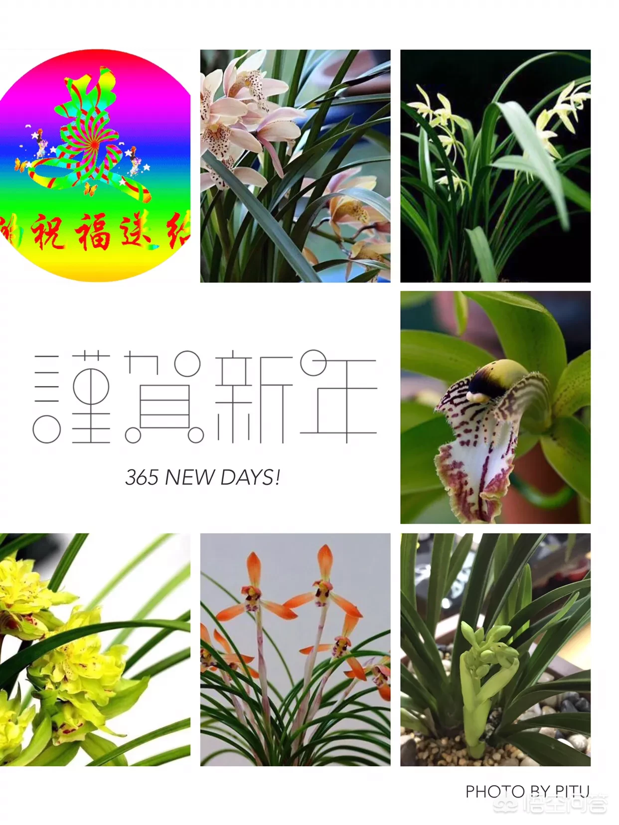 兰梅竹菊称为四君子，更是以“兰章”喻诗文之美，描写兰花的诗词有哪些？