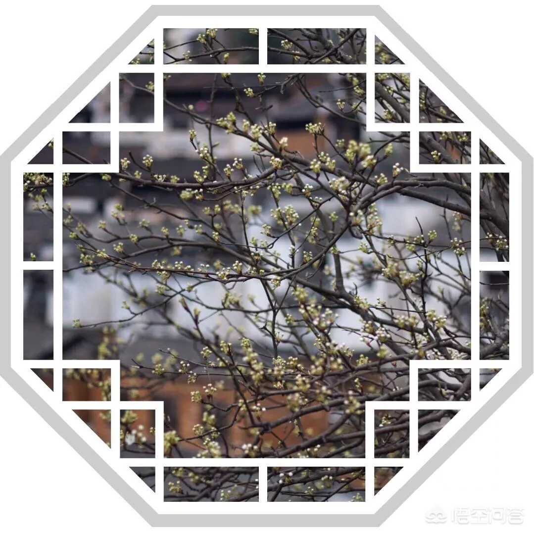 兰梅竹菊称为四君子，更是以“兰章”喻诗文之美，描写兰花的诗词有哪些？