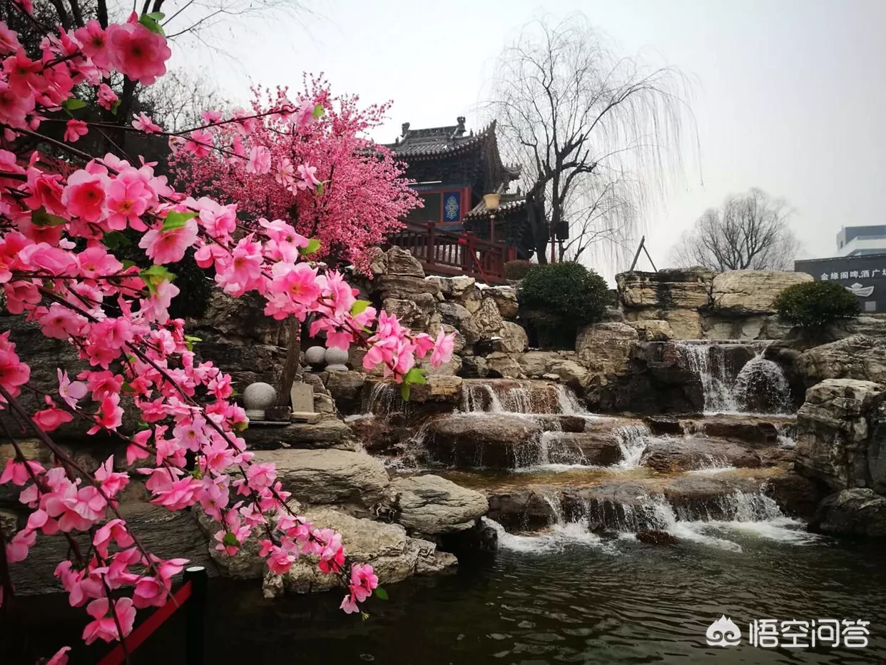 兰梅竹菊称为四君子，更是以“兰章”喻诗文之美，描写兰花的诗词有哪些？