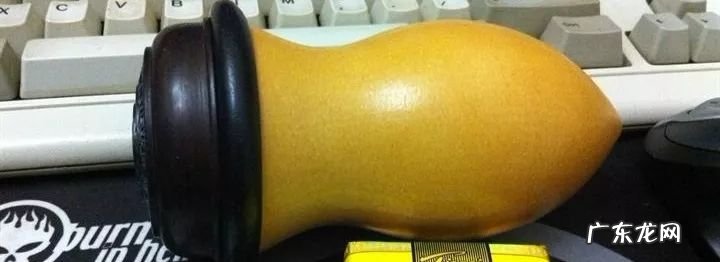 蝈蝈吃什么食物活的久 蝈蝈吃什么东西最好