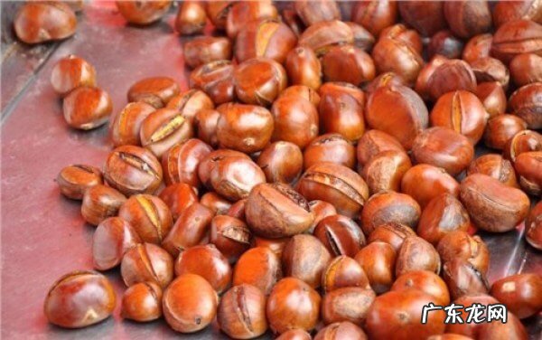 坚果类包括 坚果类哪种最有营养