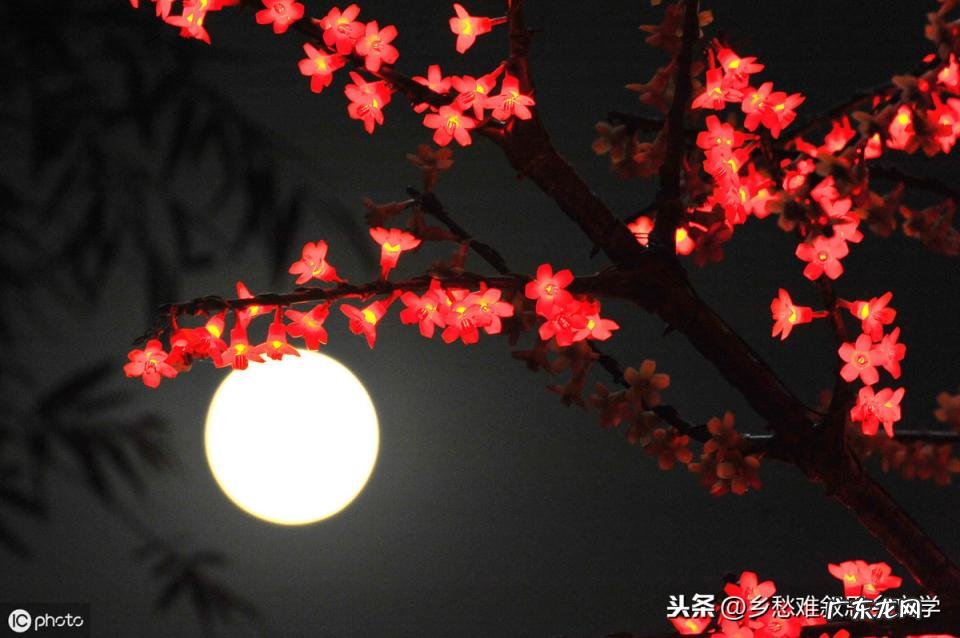 又是一年中秋时作文怎么写四百字 又到一年中秋时作文