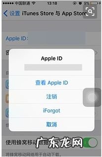 苹果手机无法更新此项目已退款 iphone无法更新app此项目已退款