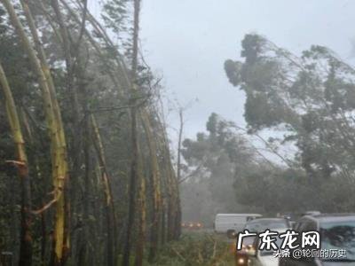 台风来了怎么办?