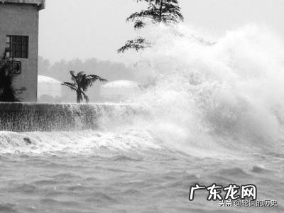 台风来了怎么办?