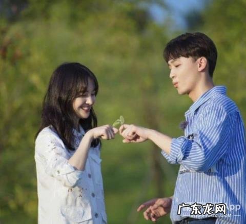 剧情有点狗血什么意思 太狗血了什么意思