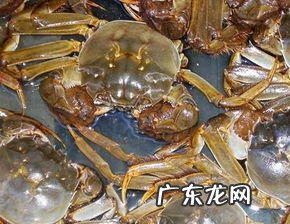 梦见 抓螃蟹 做梦抓螃蟹什么意思周公解梦