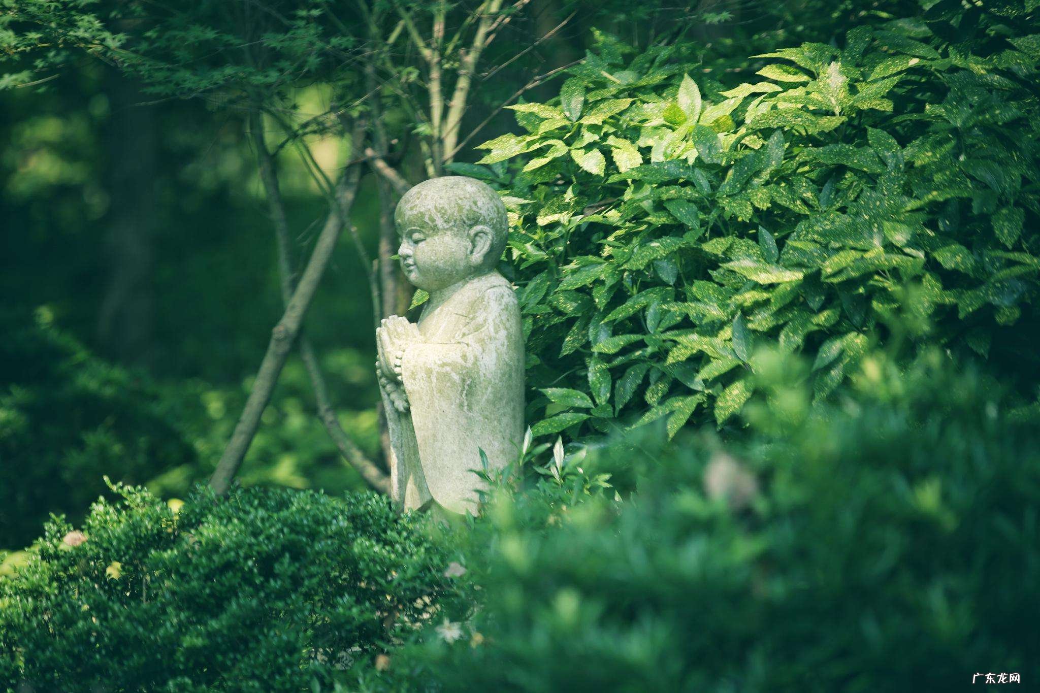 大彻大悟的人有哪些比较明显的特征？