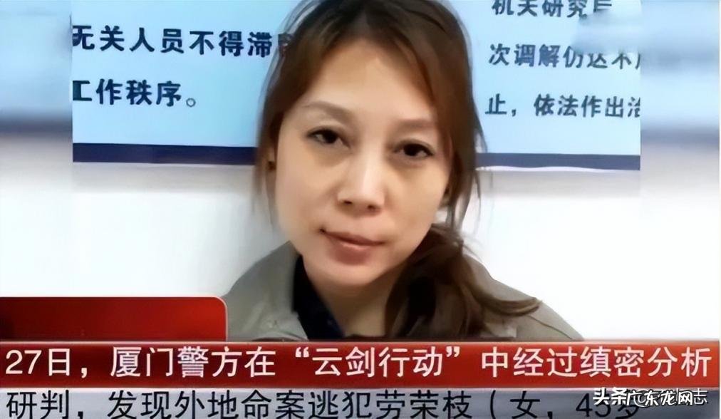 法子英百度百科 法子英