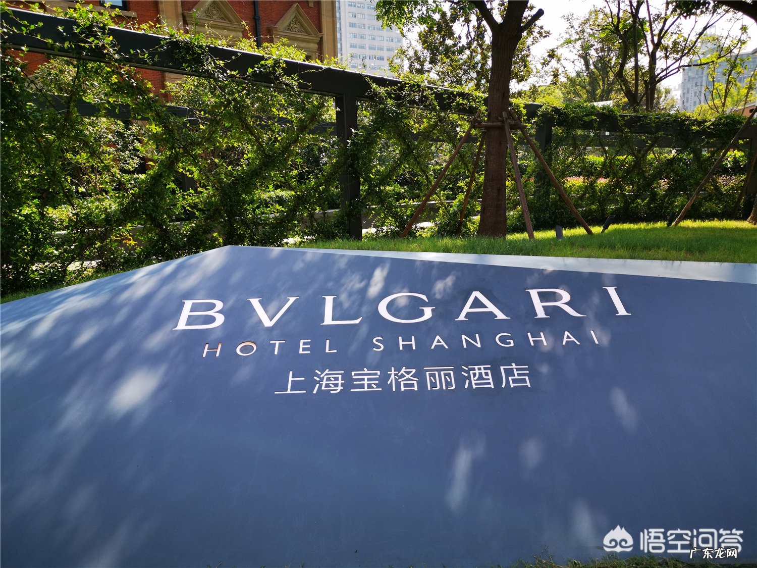 好看女表有哪些推荐?