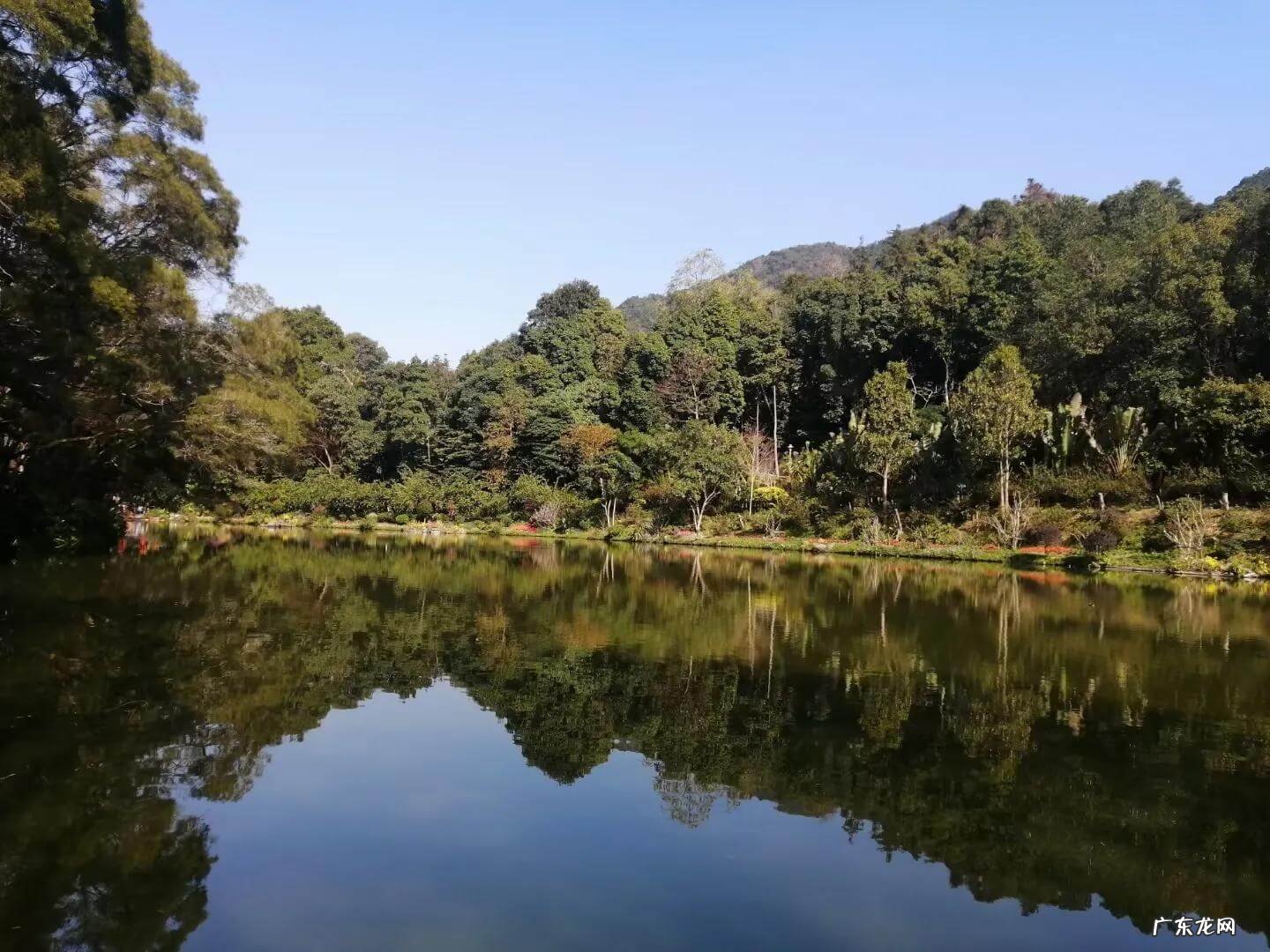 寺院的风水 弘法寺风水