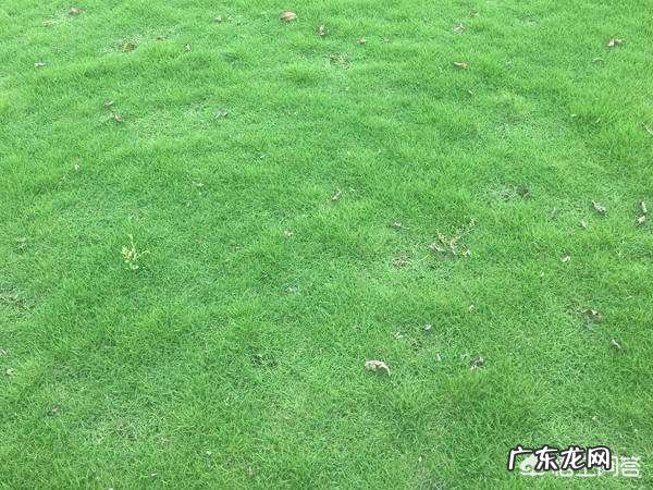 关于感情的古诗词有哪些?