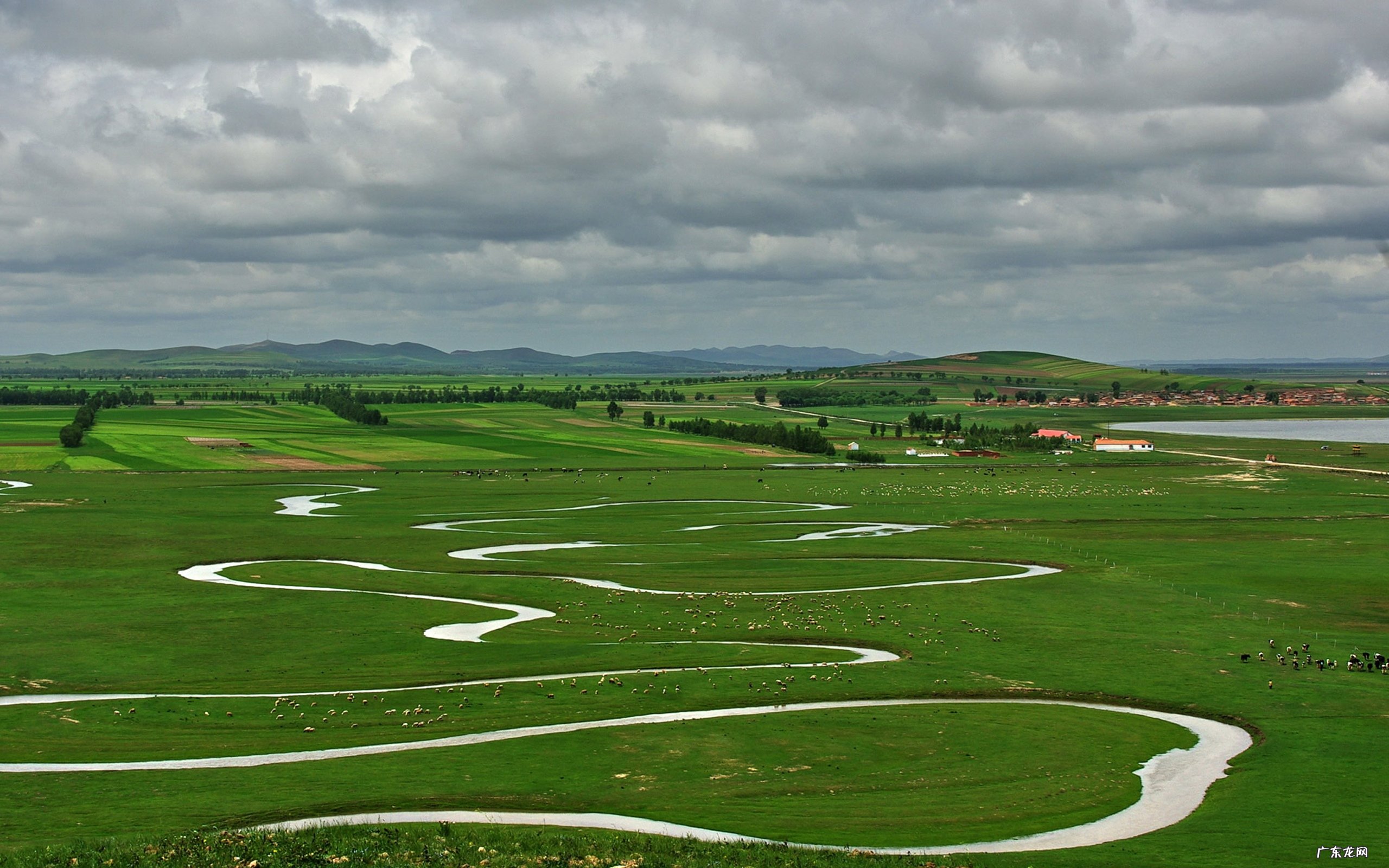 十二生肖因为什么理由招人烦?